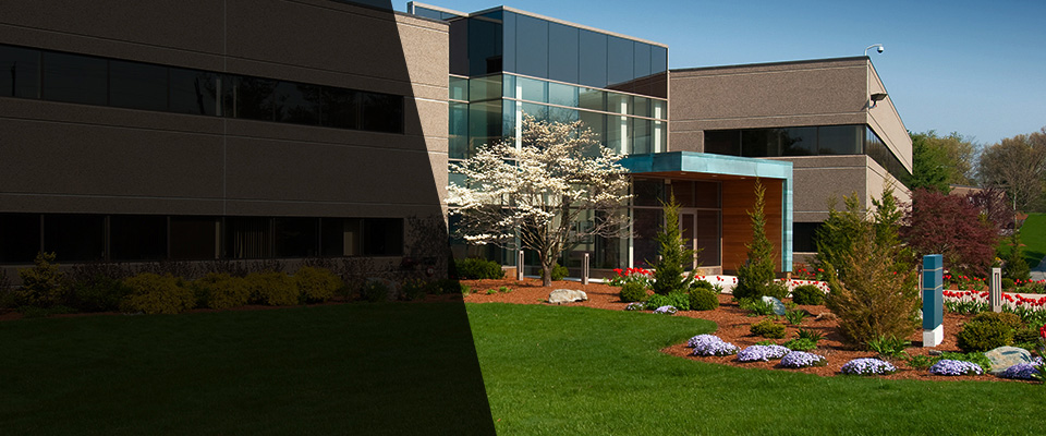 Edgerton Landscapers