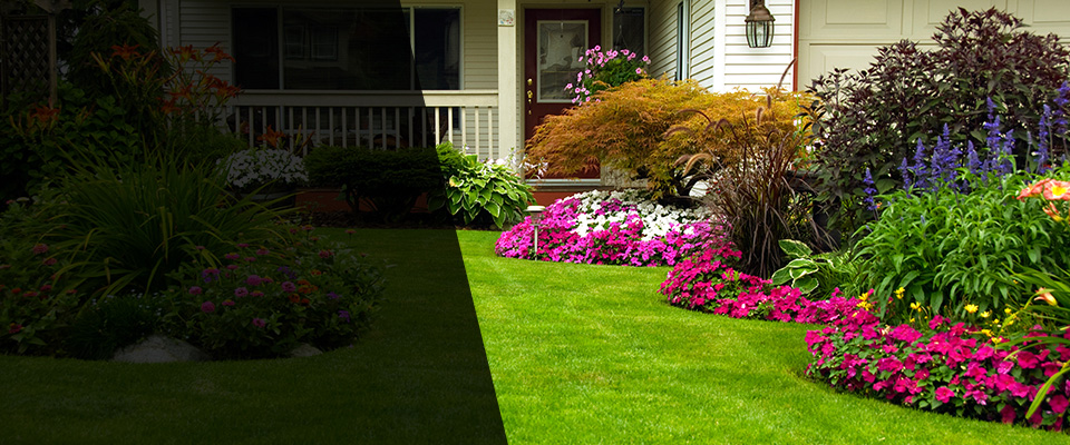 Edgerton Landscapers