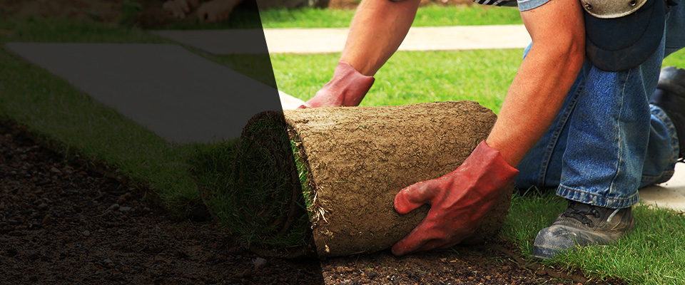 Edgerton Landscapers